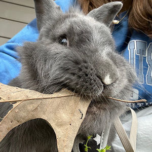 Meet your Posher, Jordan